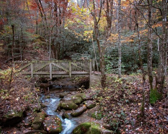 Black Rock Mountain Self-Guided Adventure 2