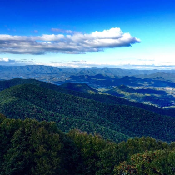 Brasstown Bald - Highest Point in GA Self-Guided Adventure 4