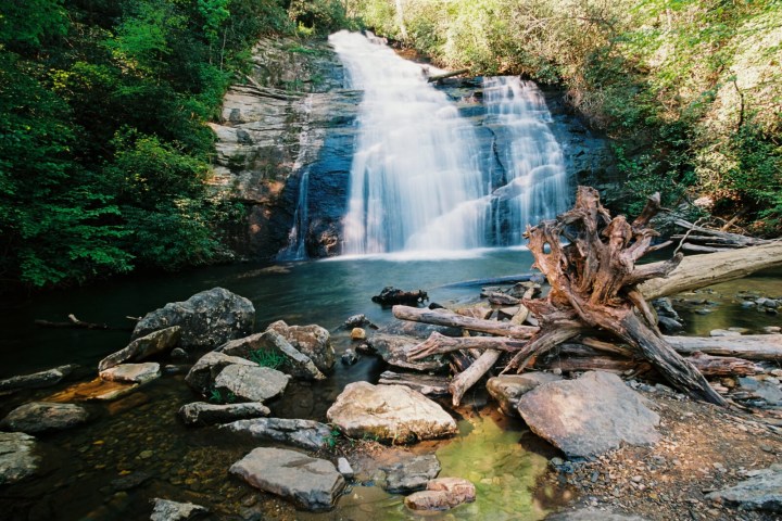 a waterfall surrounded by trees