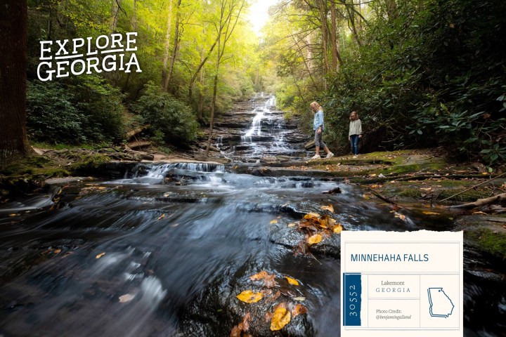 a waterfall in a forest