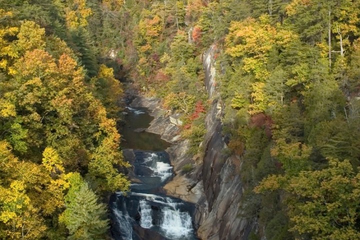 a large waterfall in a forest