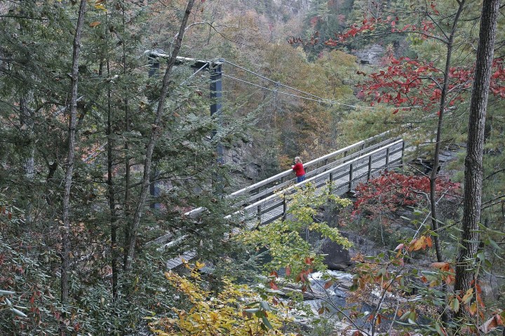 a train traveling down train tracks near a forest