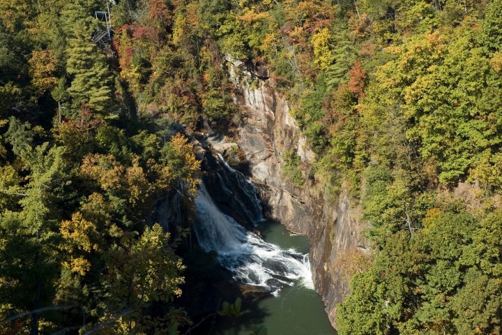 a river running through a forest